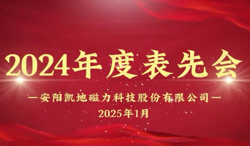 公司召开2024年度表先会,对37名优秀员工进行表彰